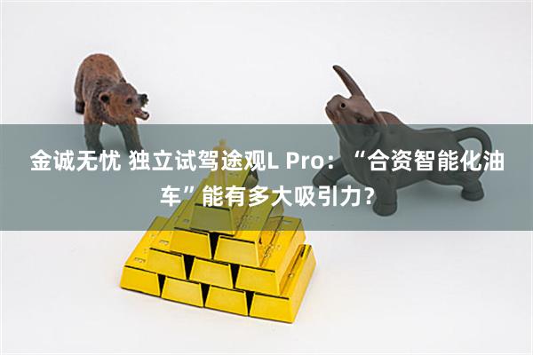 金诚无忧 独立试驾途观L Pro：“合资智能化油车”能有多大吸引力？