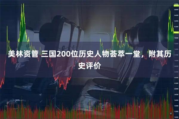 美林资管 三国200位历史人物荟萃一堂，附其历史评价