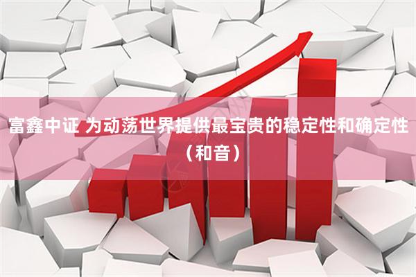 富鑫中证 为动荡世界提供最宝贵的稳定性和确定性（和音）