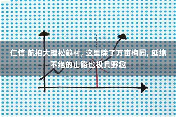 仁信 航拍大理松鹤村, 这里除了万亩梅园, 延绵不绝的山路也极具野趣