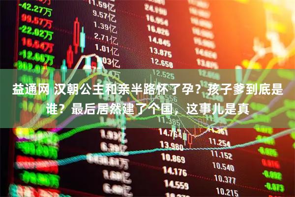 益通网 汉朝公主和亲半路怀了孕?孩子爹到底是谁?最后居然建了个国,这事儿是真