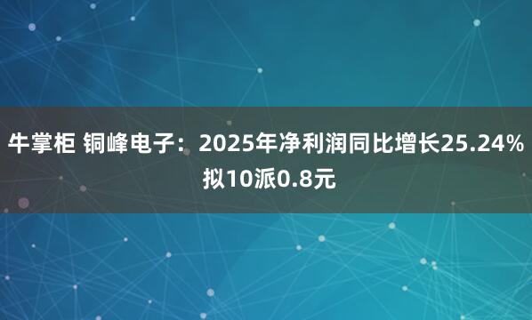 牛掌柜 铜峰电子：2025年净利润同比增长25.24% 拟10派0.8元