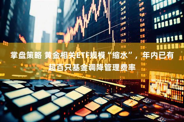 掌盘策略 黄金相关ETF规模“缩水”，年内已有超百只基金调降管理费率